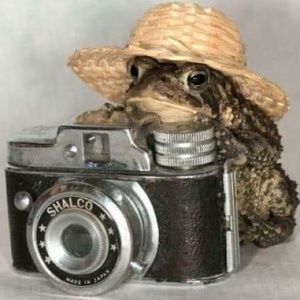 Meet your Posher, Eunice